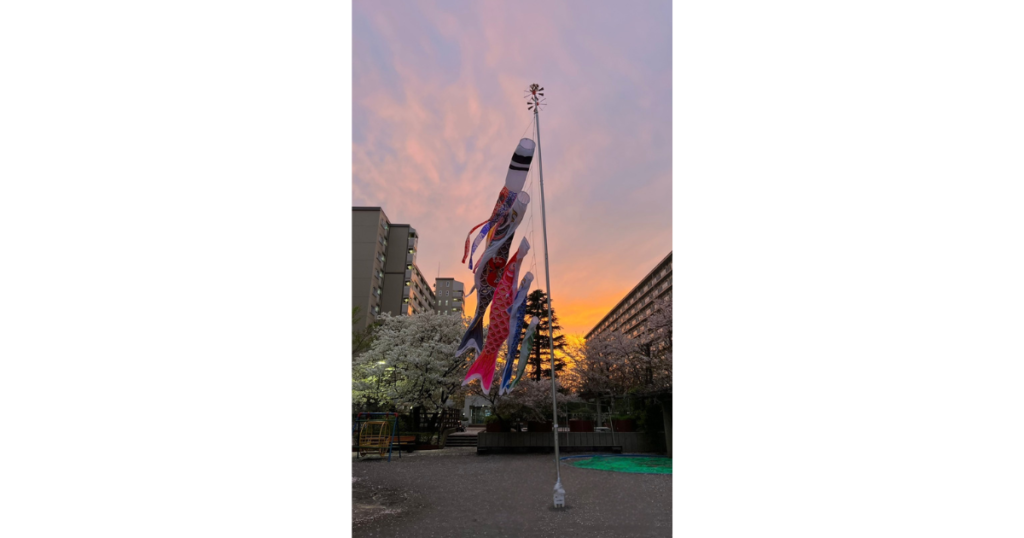 新松戸中央パークハウス　2026年　桜